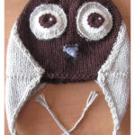 Owl Hat Free Knitting Pattern