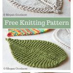 Leafy Washcloth Free Knitting Pattern