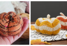 Autumn Pumpkin Free Knitting Pattern