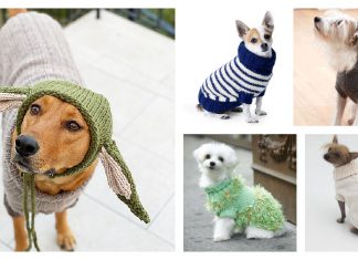 Dog Coat Free Knitting Pattern