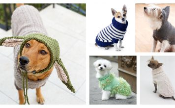 Dog Coat Free Knitting Pattern