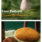 Porcini Mushrooms Free Knitting Pattern