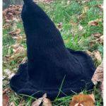 Witch Hat Free Knitting Pattern