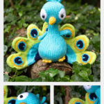 Peacock Free Knitting Pattern