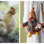 Hen Knitting Patterns