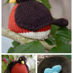 Fat Robin Bird Free Knitting Pattern