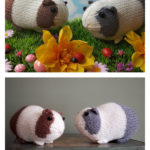 Guinea Pig Free Knitting Pattern