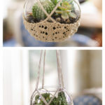 Terrarium Hanger Free Knitting Pattern