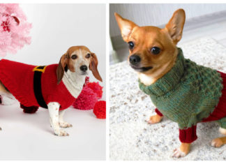 Christmas Dog Sweater Free Knitting Pattern