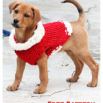 Christmas Puppy Sweater Free Knitting Pattern