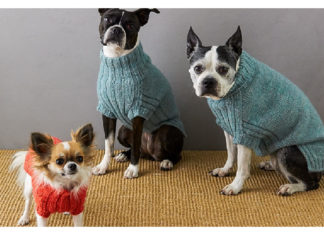 Lucky Dog Sweater Knitting Pattern