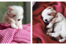 New Born Puppy Free Knitting Pattern