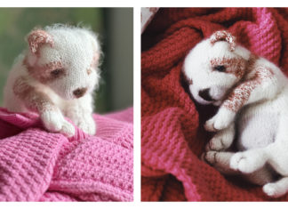 New Born Puppy Free Knitting Pattern