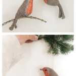 Robin Redbreast Free Knitting Pattern