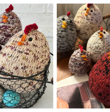 Chicken and Egg Free Knitting Pattern