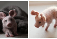 Piglet Toy Knitting Pattern