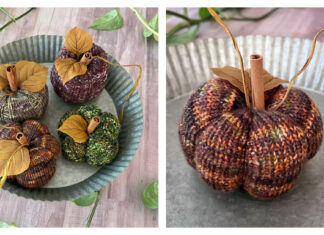 Pumpkin Gourdtet Free Knitting Pattern