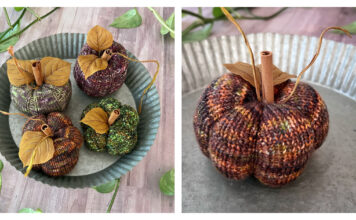 Pumpkin Gourdtet Free Knitting Pattern