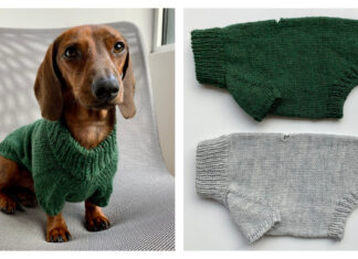 Portland Raglan Dog Sweater Free Knitting Pattern and Video Tutorial