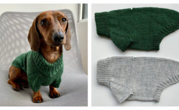 Portland Raglan Dog Sweater Free Knitting Pattern and Video Tutorial