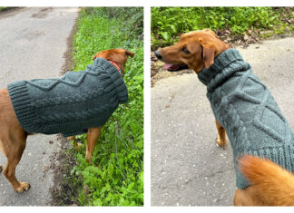 Aran Dog Sweater Free Knitting Pattern